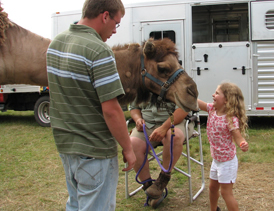 Camel encounter