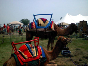 Arabian camel taken on 'field trip' to Michigan PetSmart store