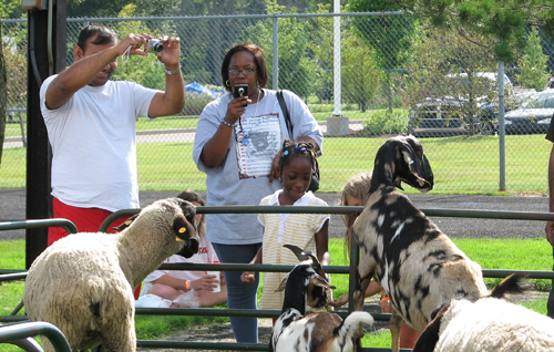 Petting Farm